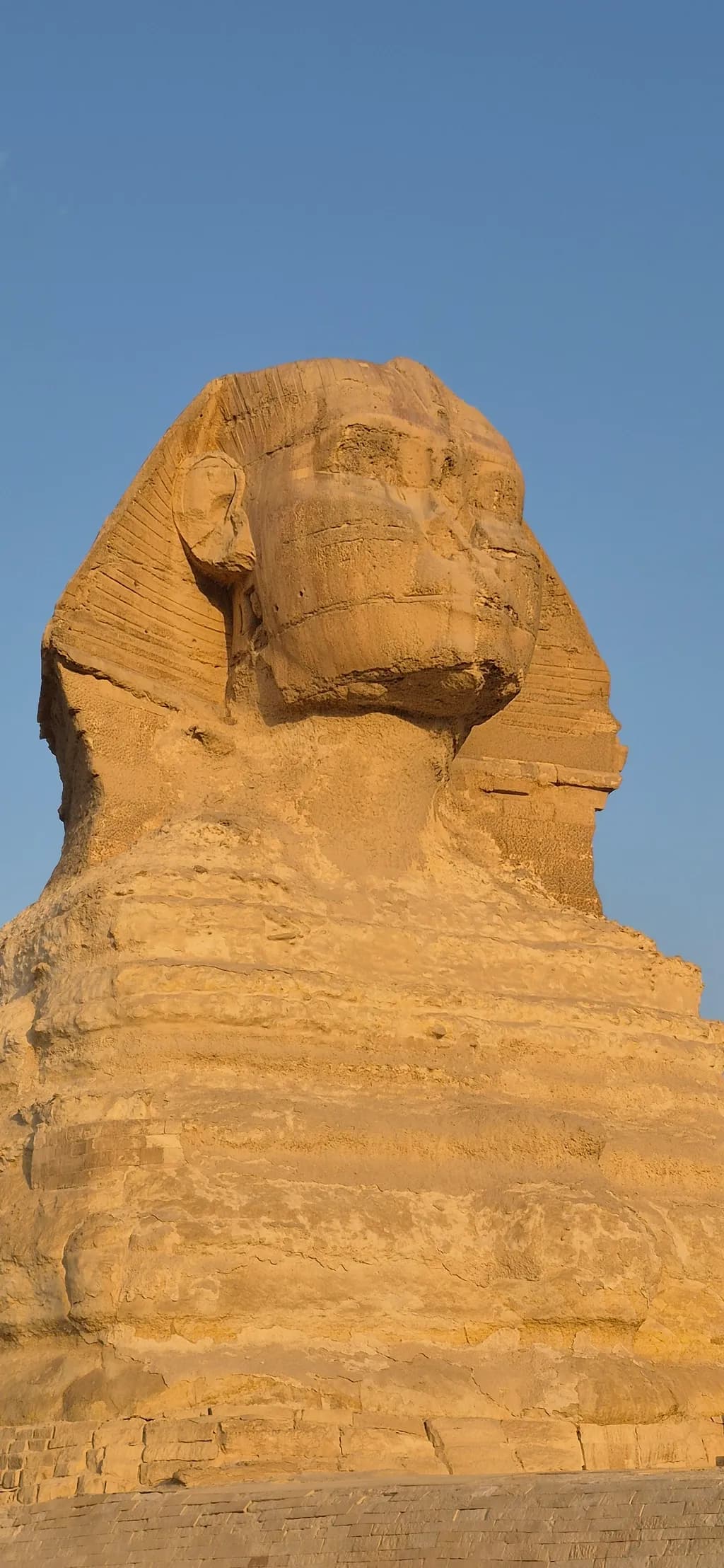 Timeless Sphinx