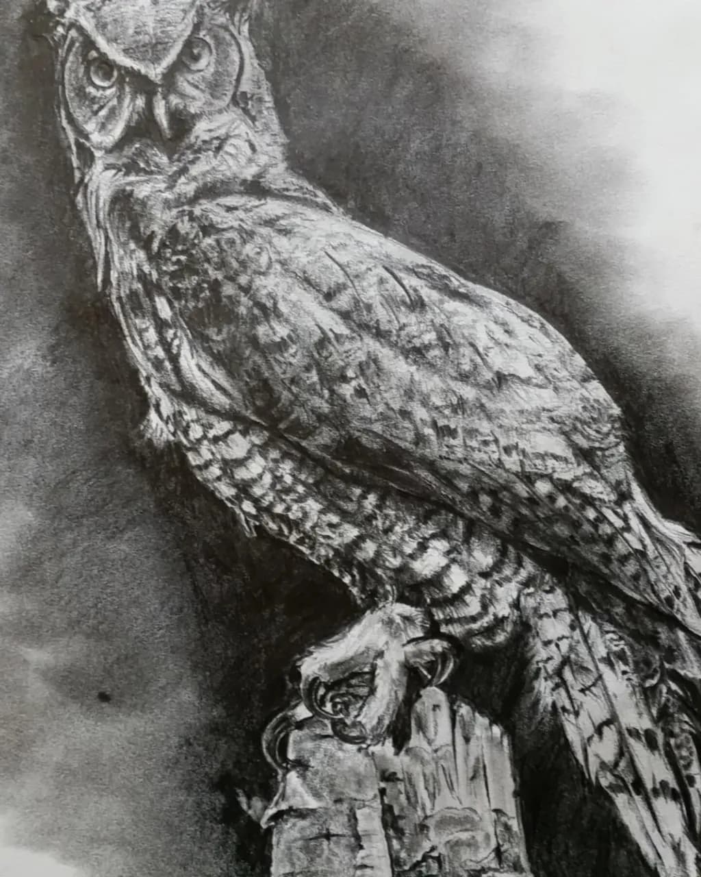 Nocturnal Sentinel