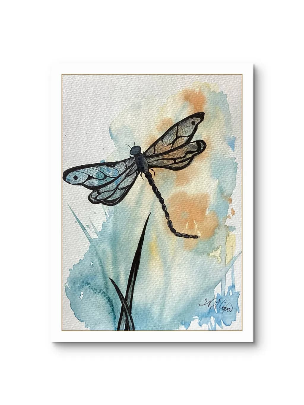 Dragonfly on Grass