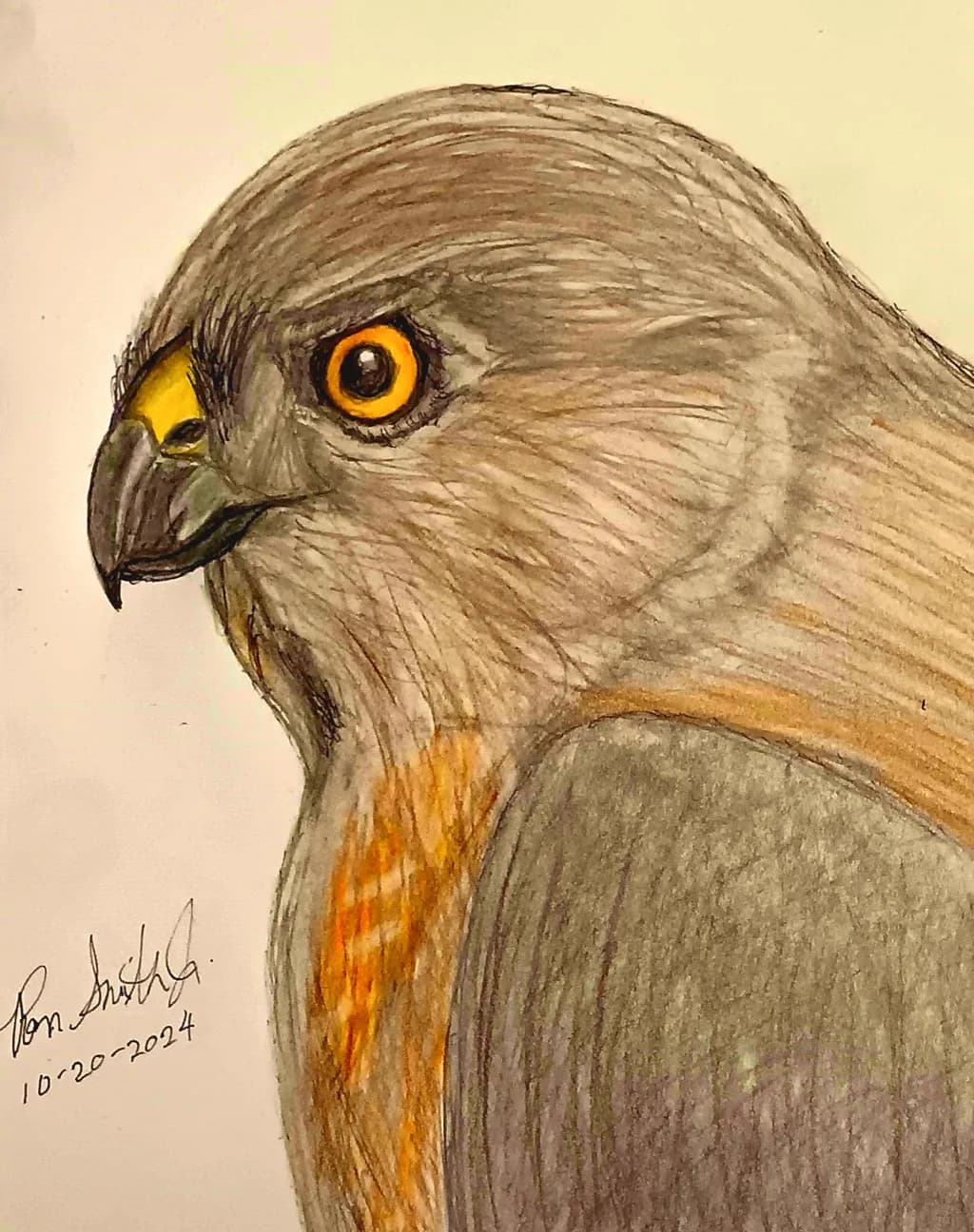 The Hawk Profile