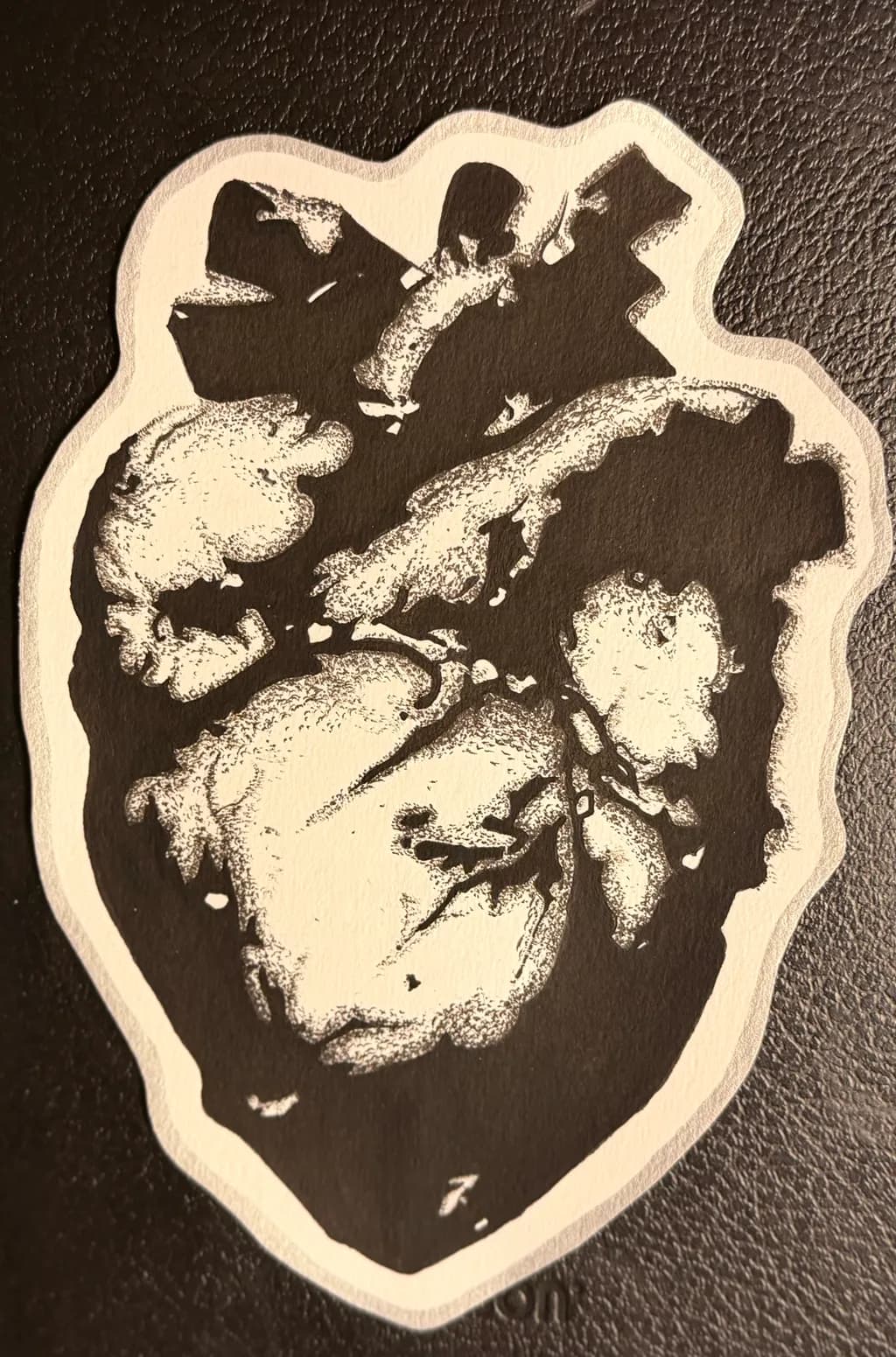 Stippled Heart Anatomy
