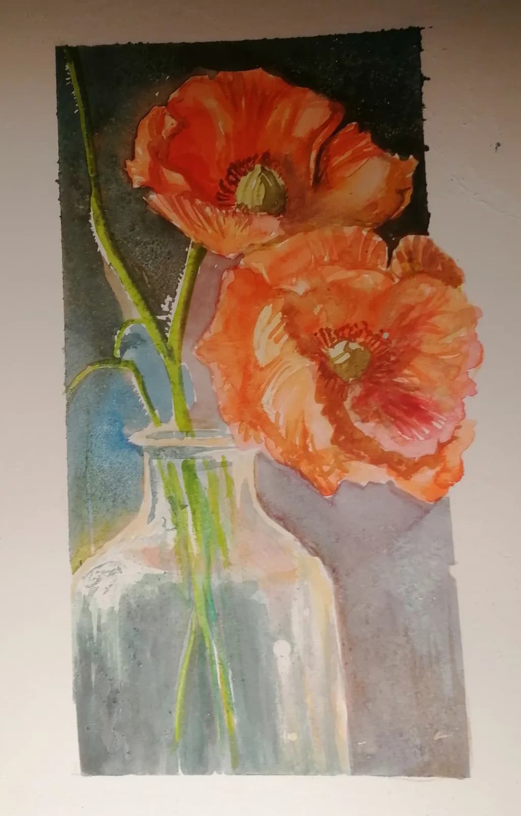 Poppy Reflection