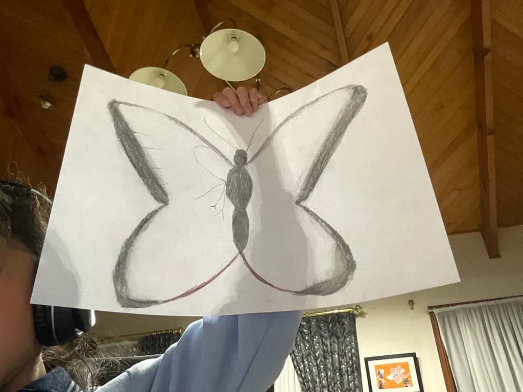 Butterfly Outline Sketch