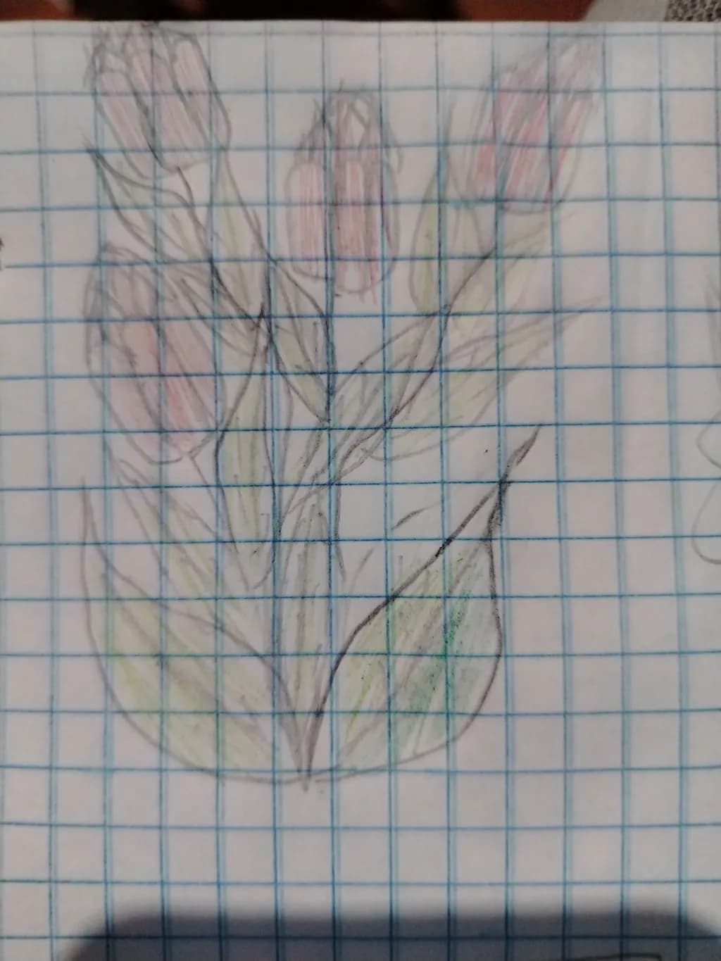 Grid Blooms