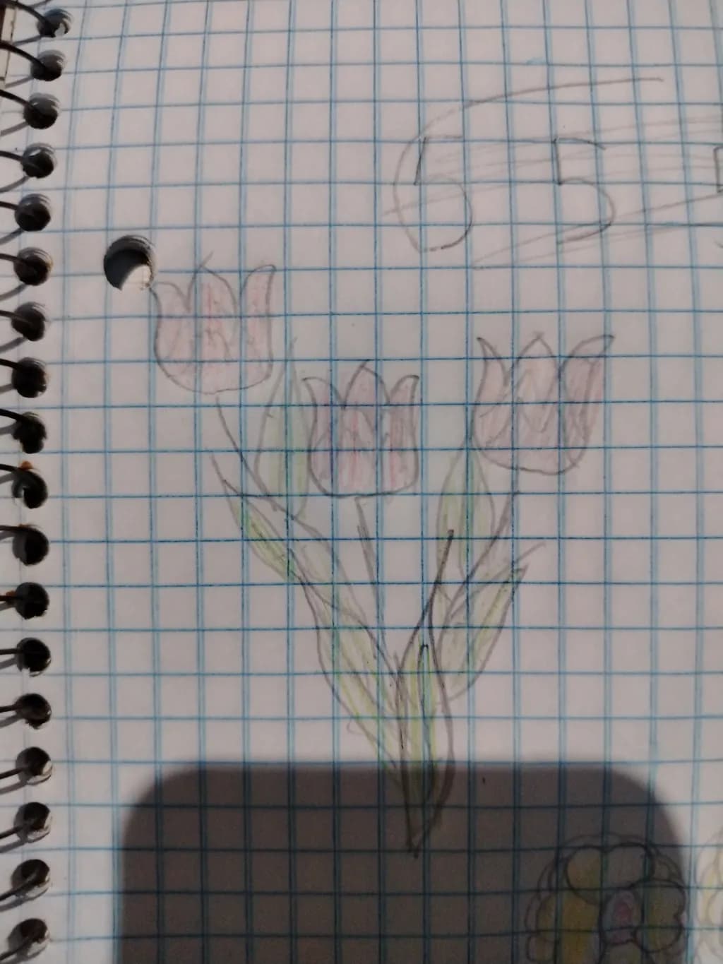 Grid Tulips