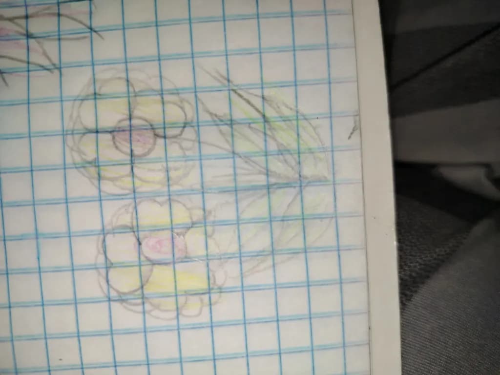 Faint Floral Sketch