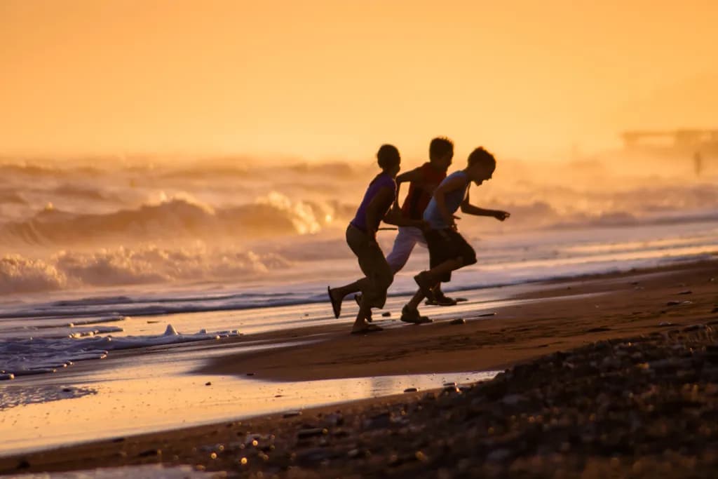 The Joy of the Sea
