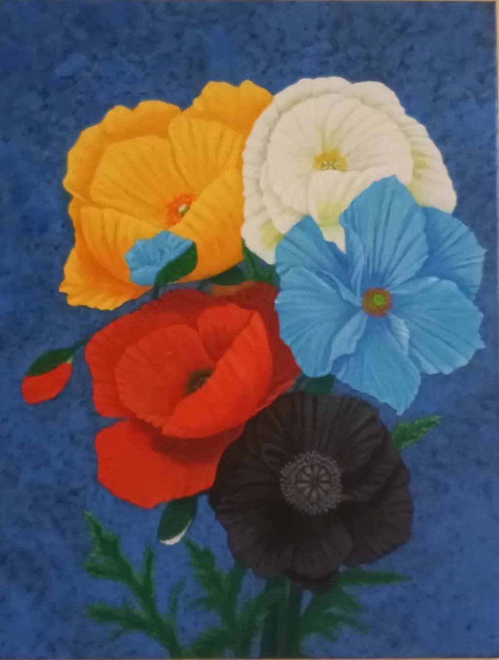 Multicolor Blooms