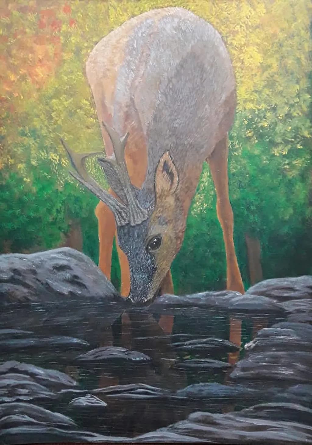 Forest Reflection