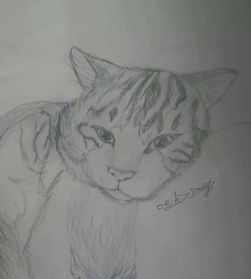 Resting Tiger