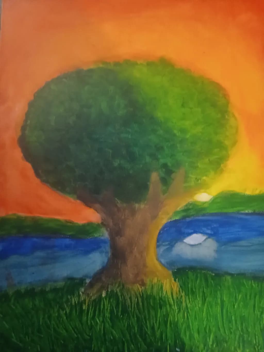 Sunset Tree