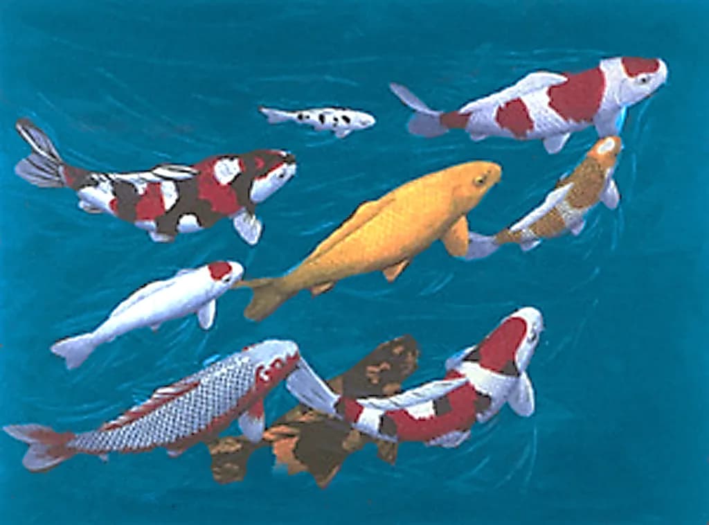 Koi Harmony