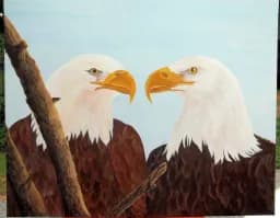 Eagles