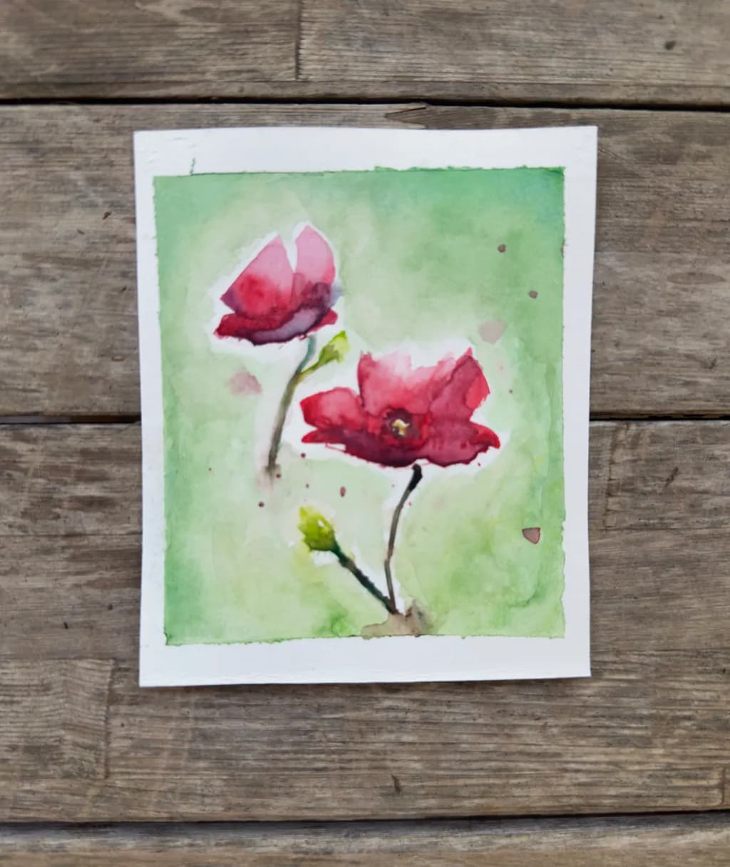 Poppy Blossom