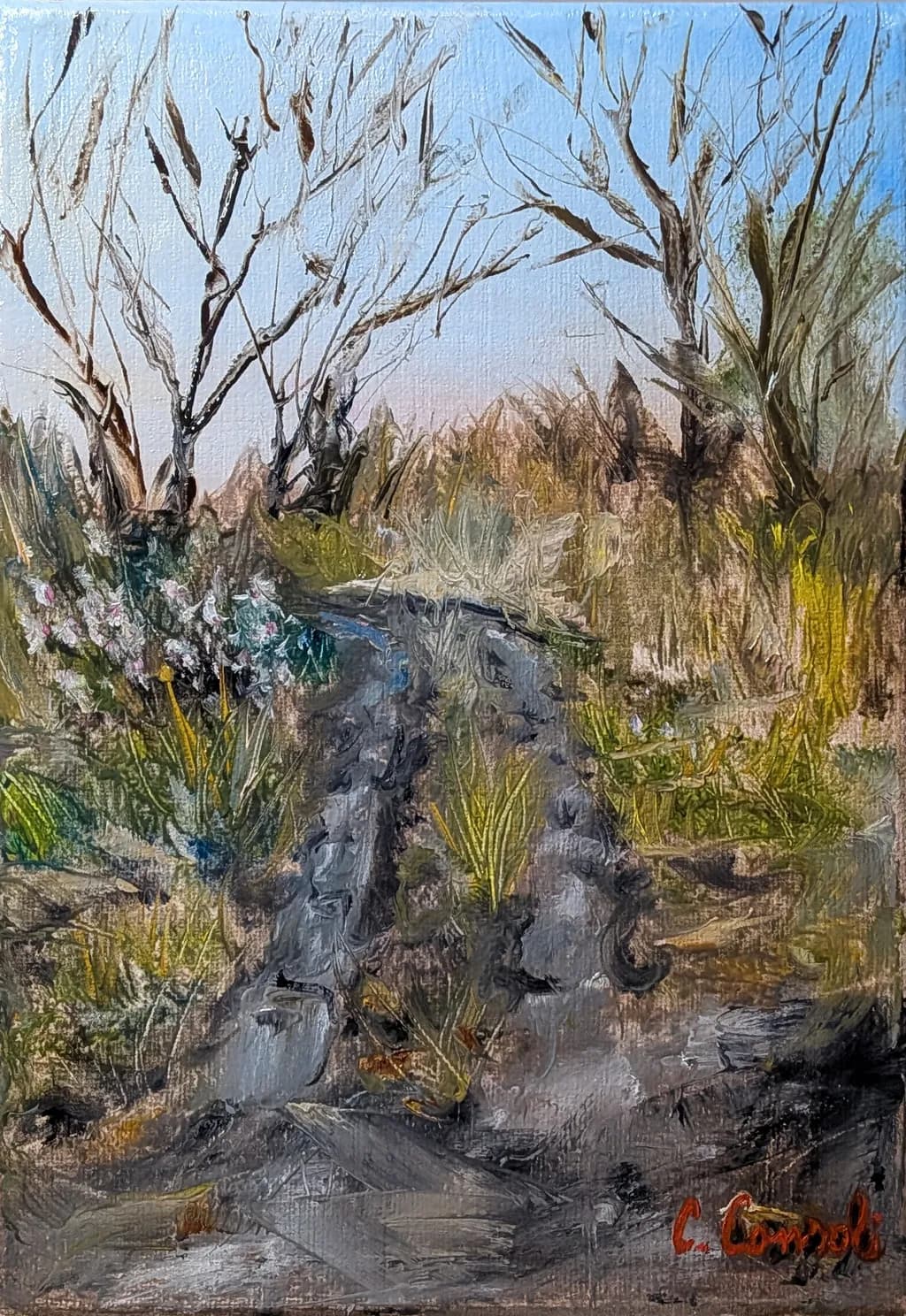 Rugged Passage
