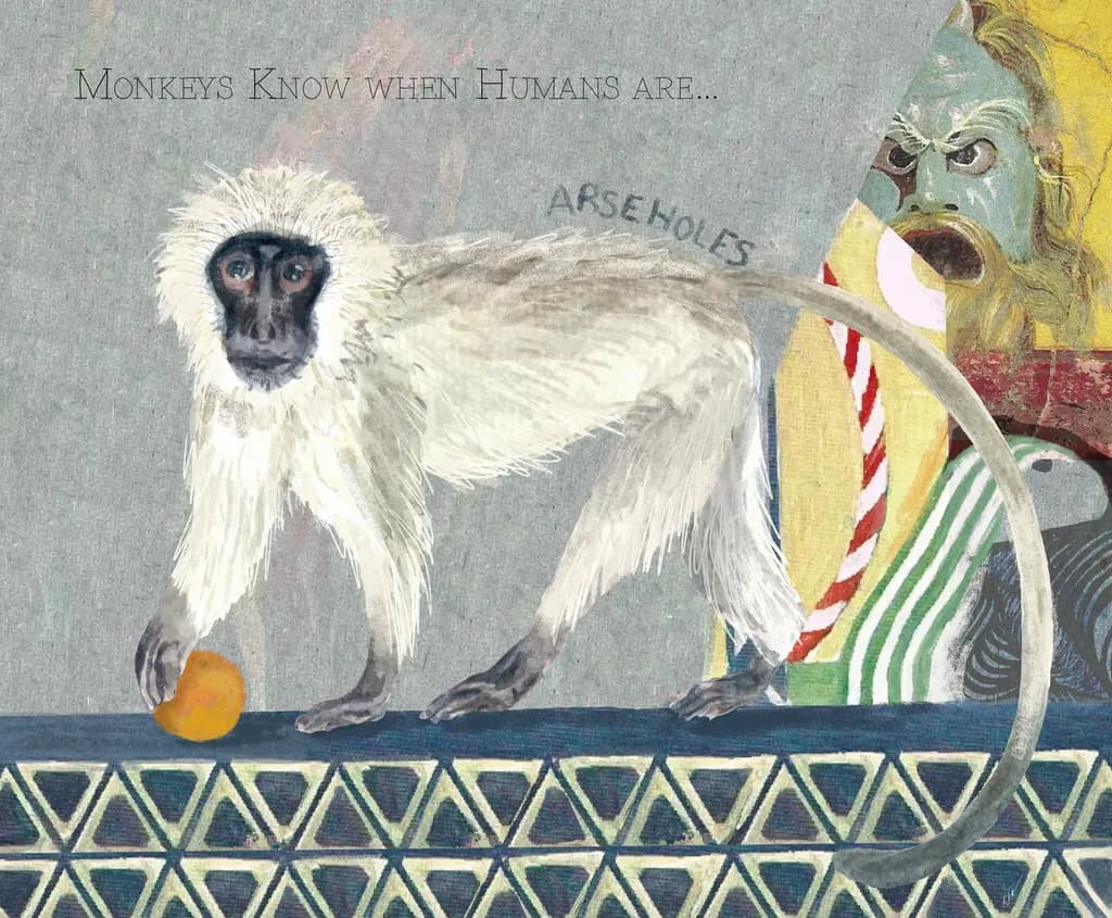 Monkey Insight