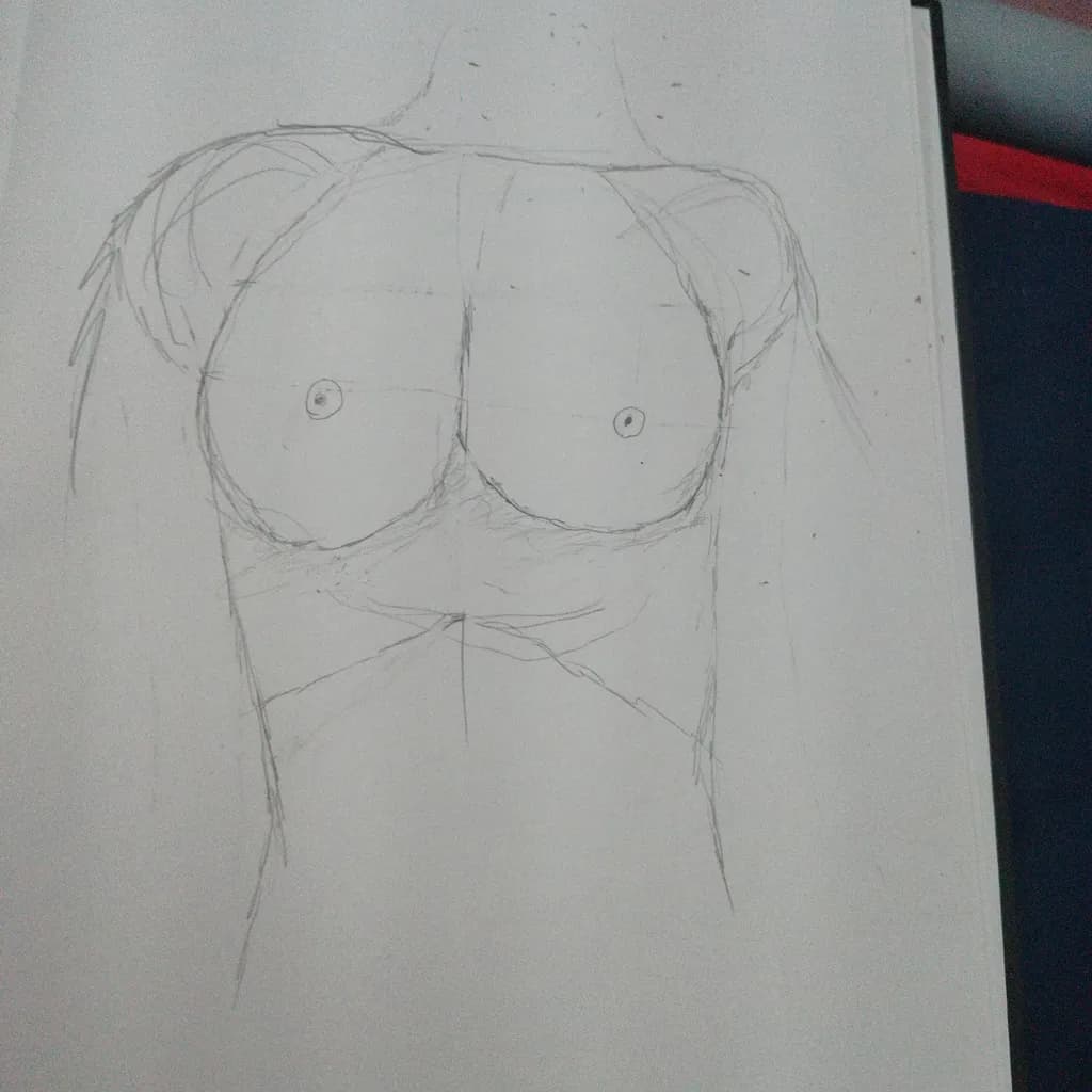 Torso Outline