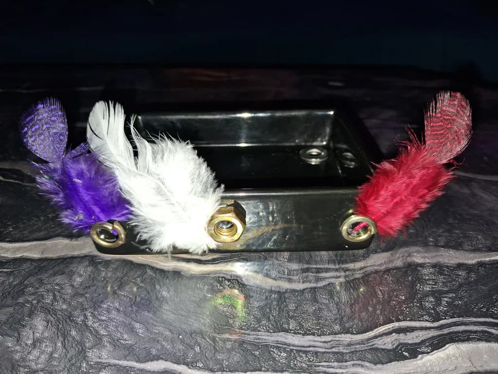 Feathered Gleam