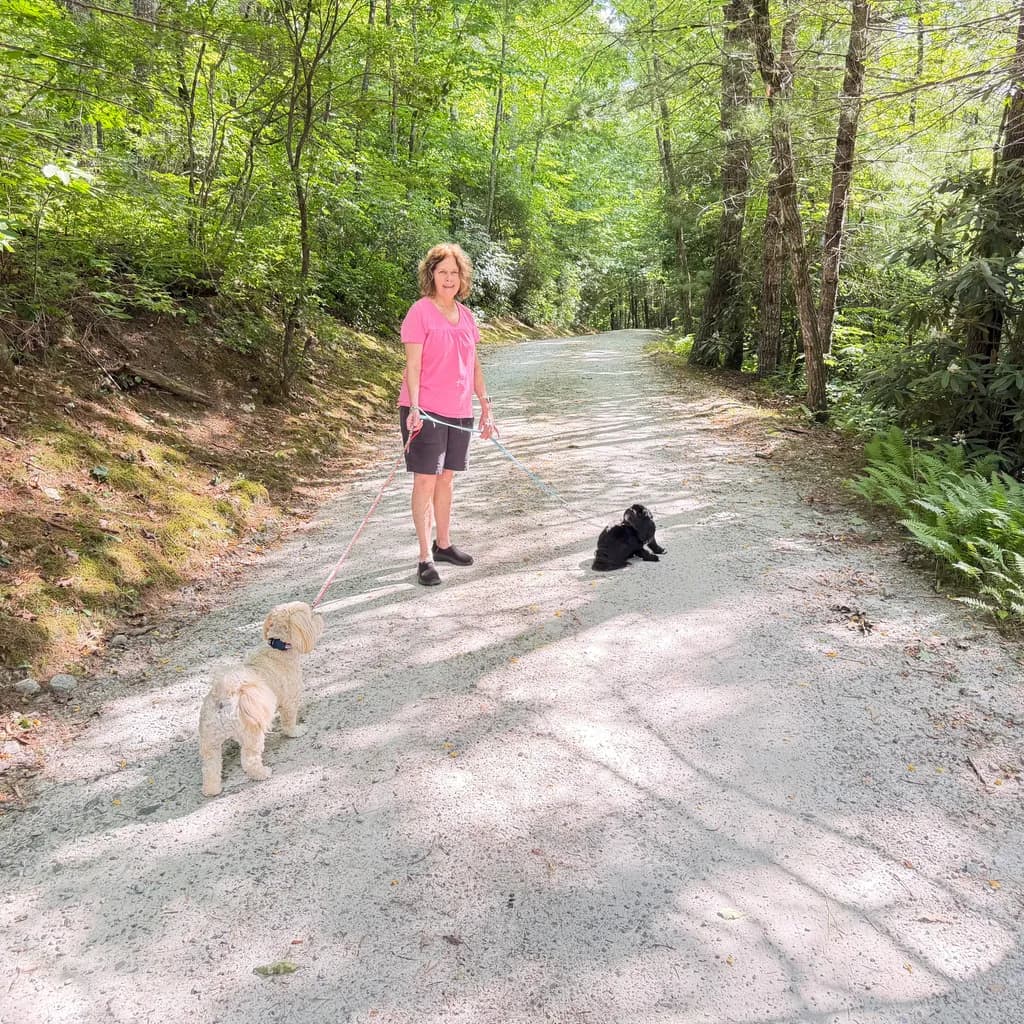 Forest Trail Companions