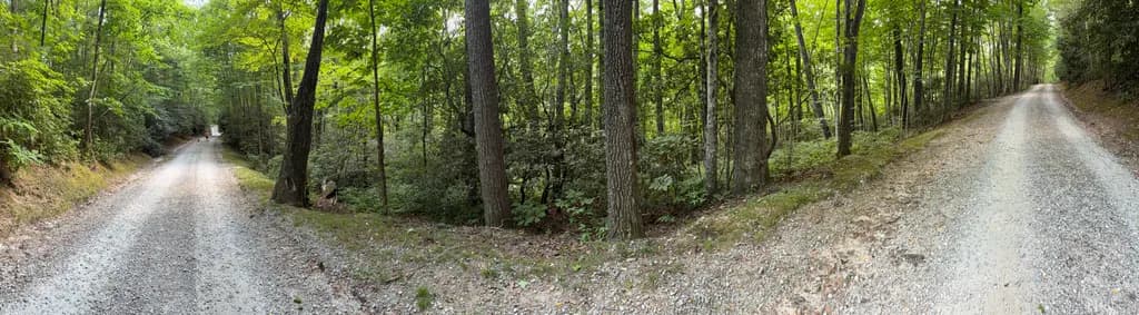 Forest Road Junction