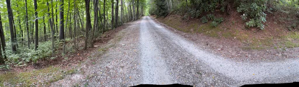 Gravel Road Through Forest
