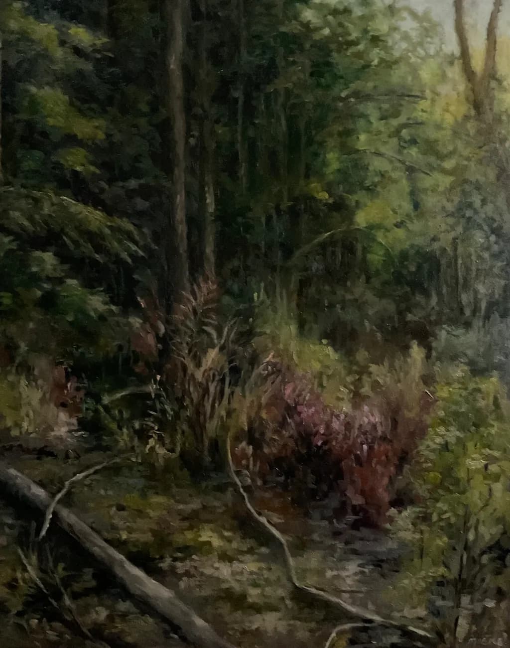 Shadowed Underbrush