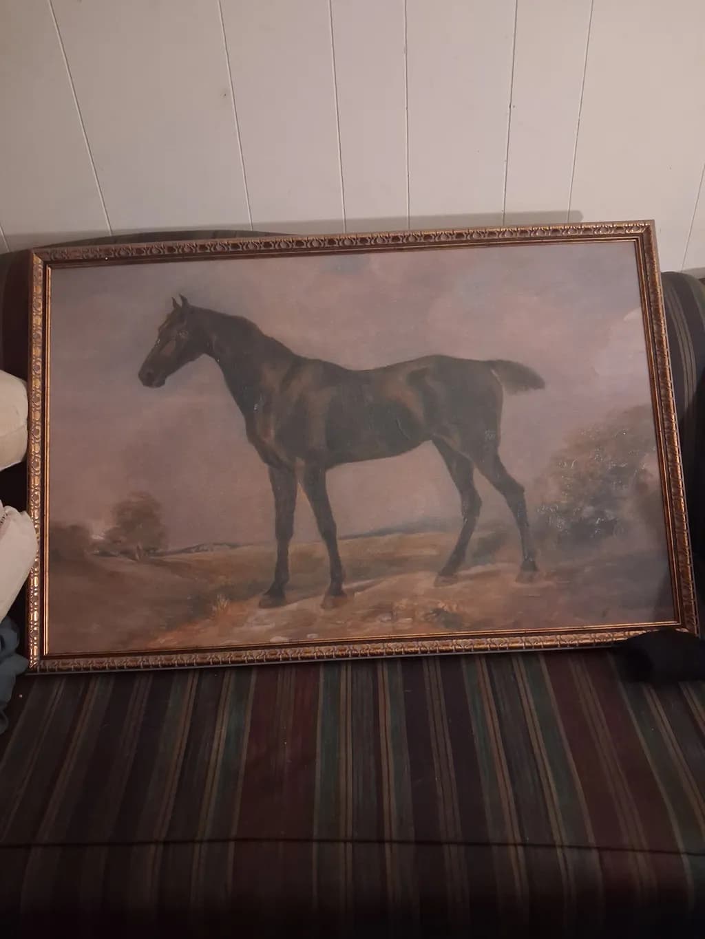 Silent Stallion