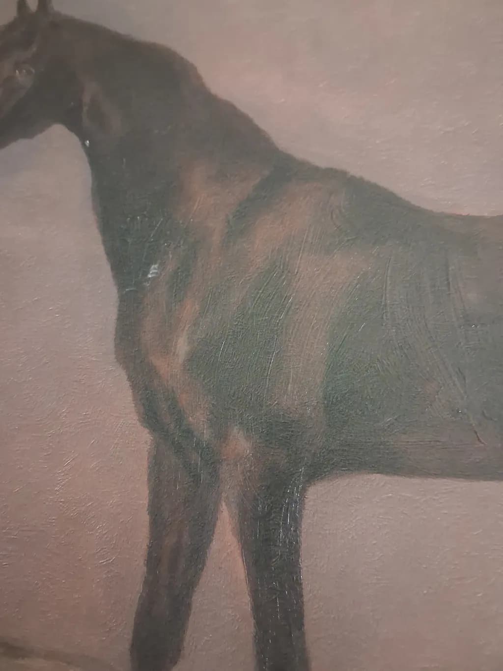 Shadowhound