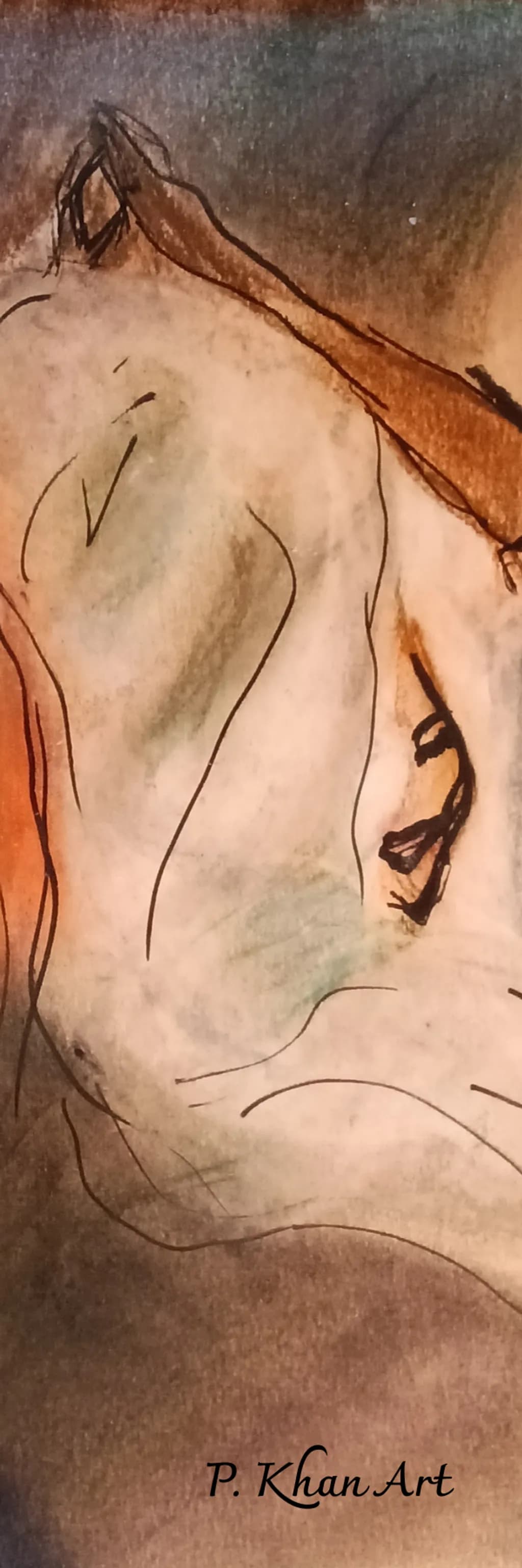 Contemplative Contours