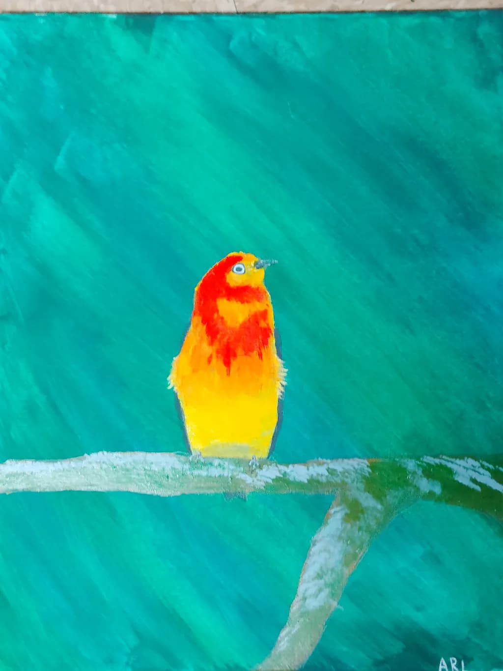Sunny Perch