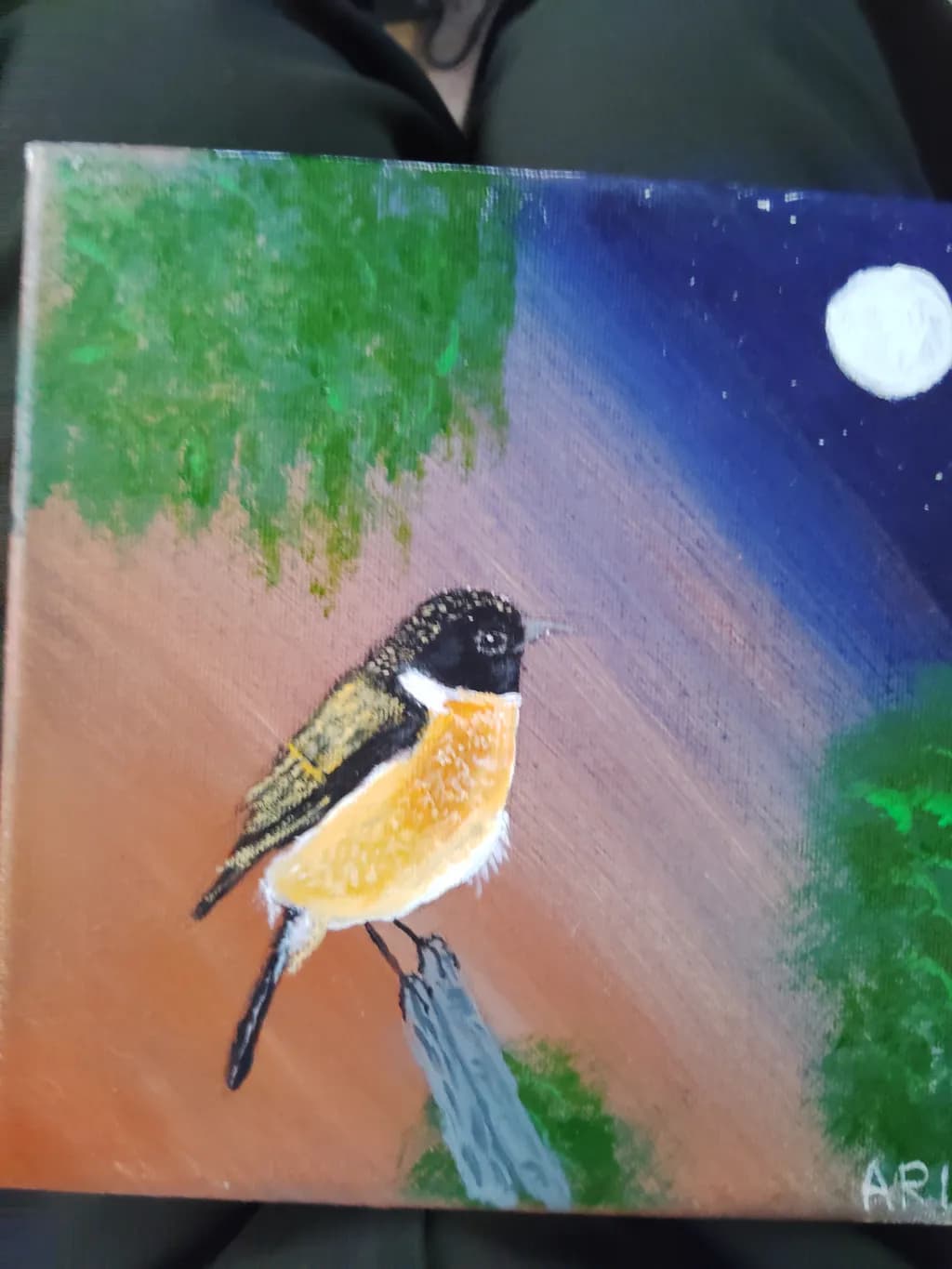 Moonlit Perch