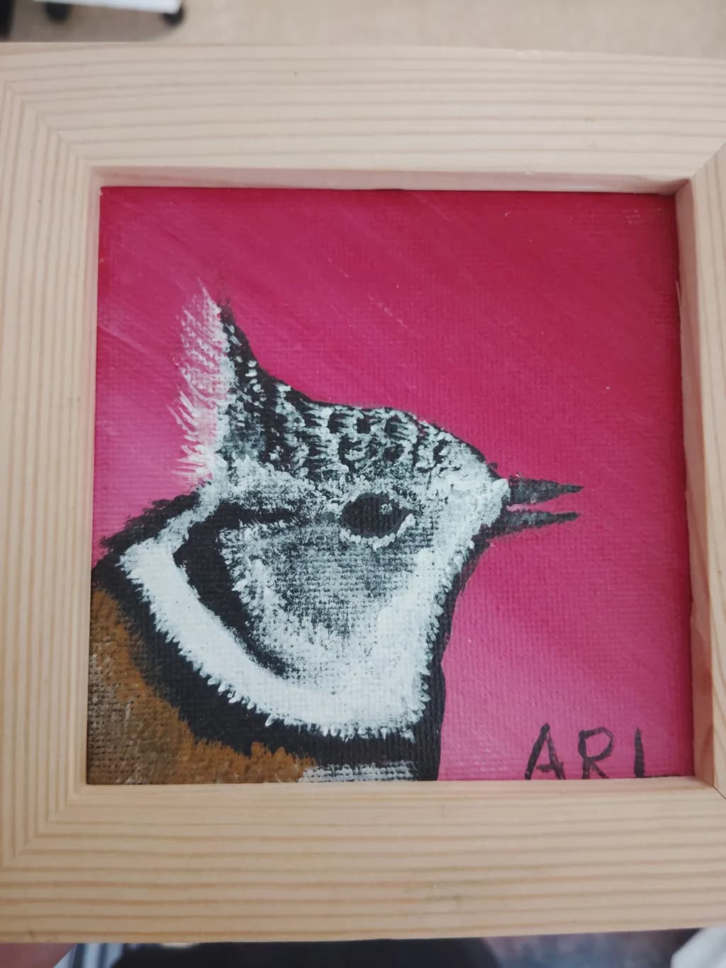 Pink Songbird