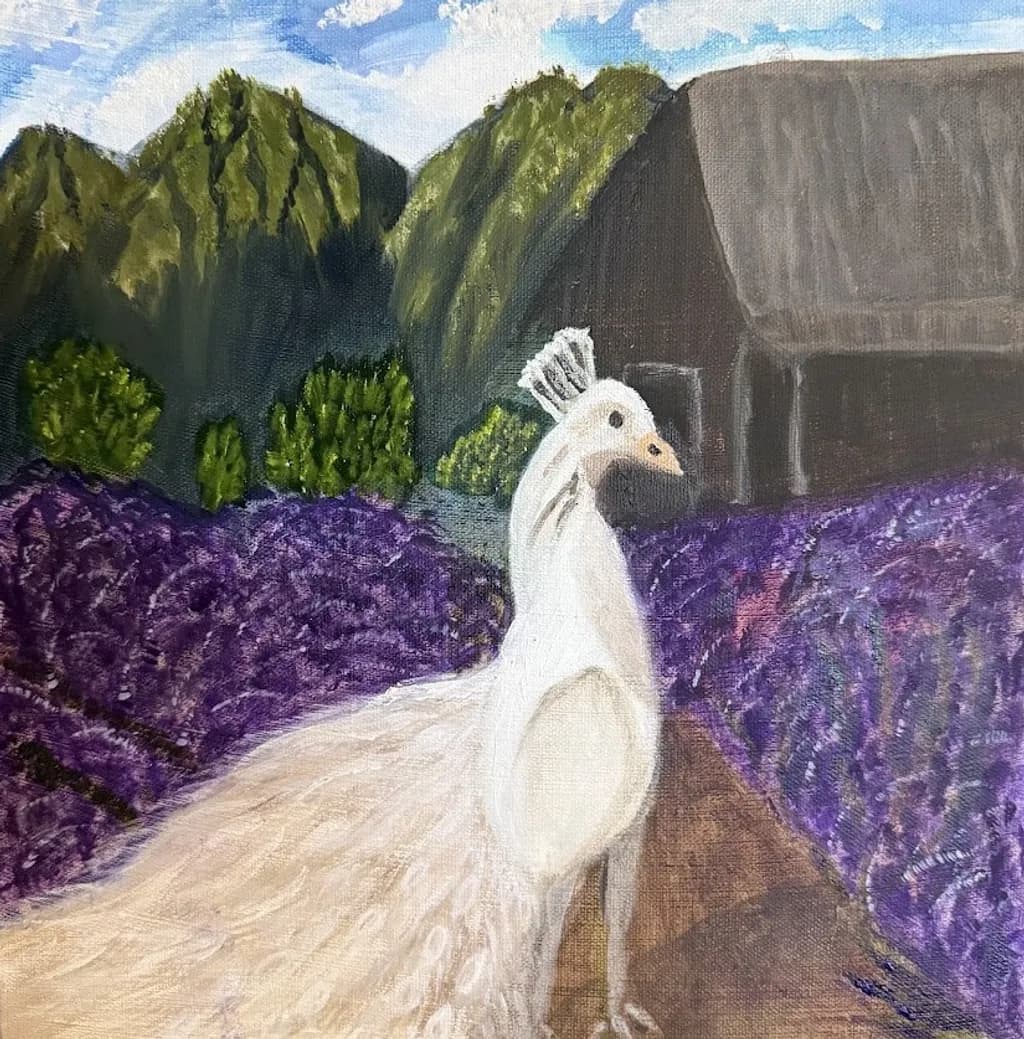 White Peacock in Bloom