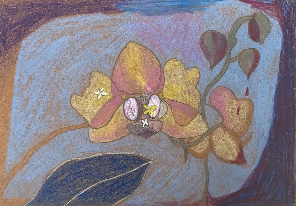 Faded Bloom