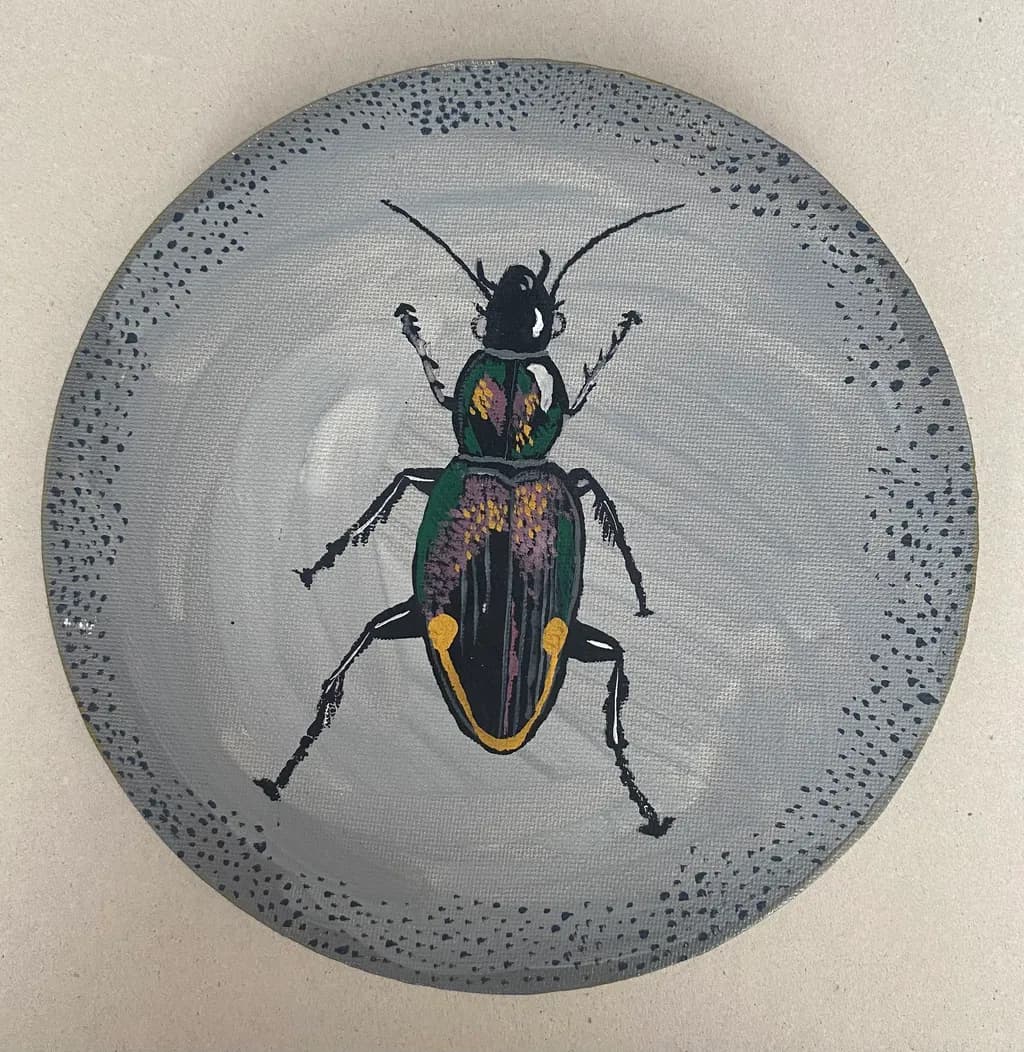 Circle Beetle