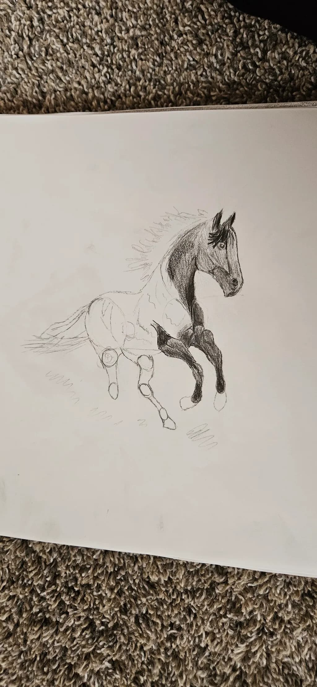 Gallop in Progress