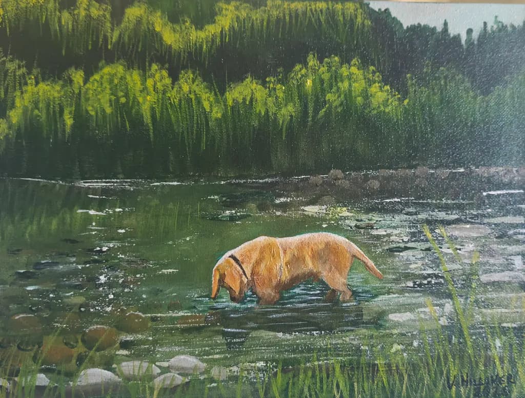 Golden Retriever Creek