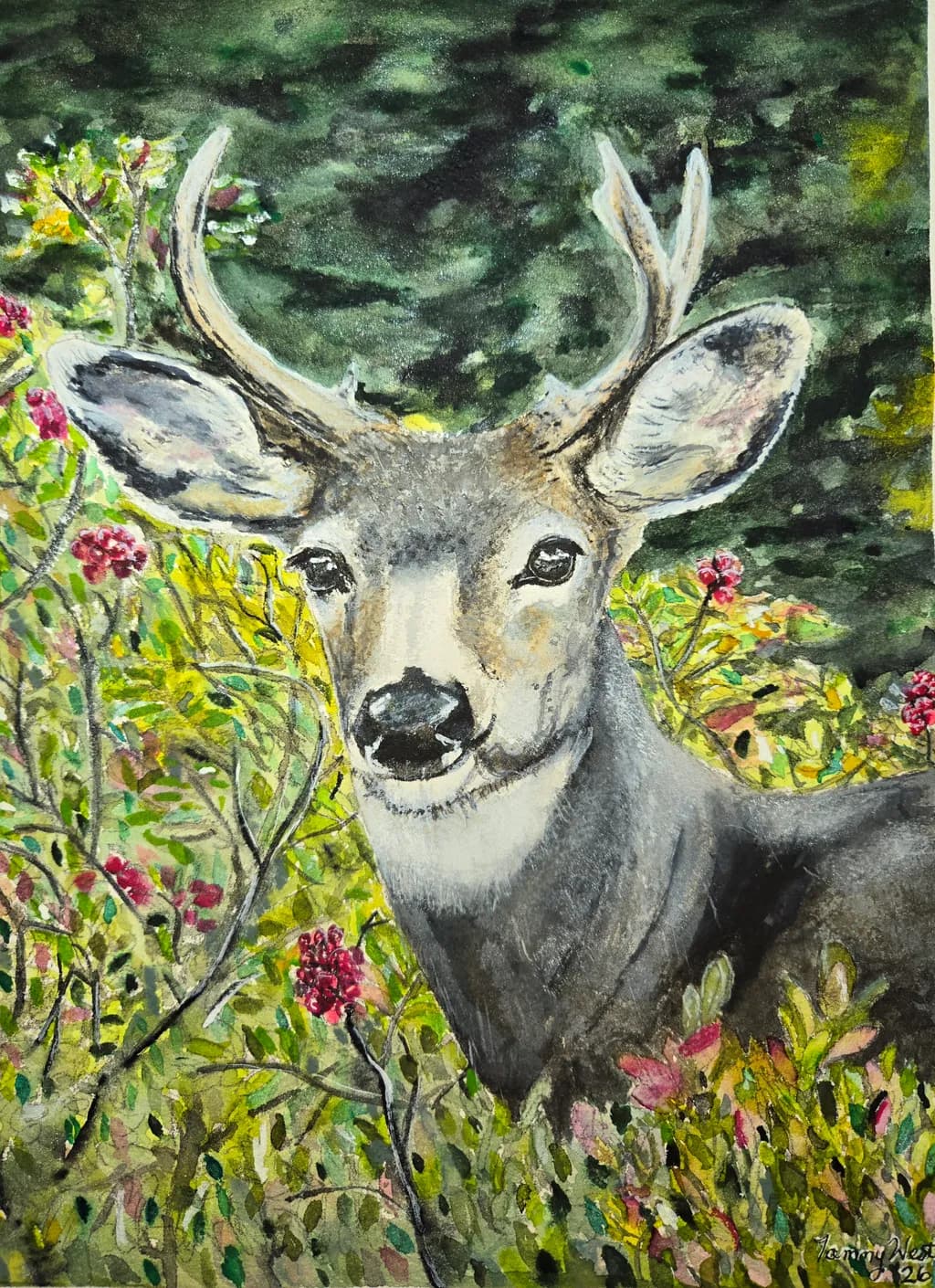 Woodland Gaze