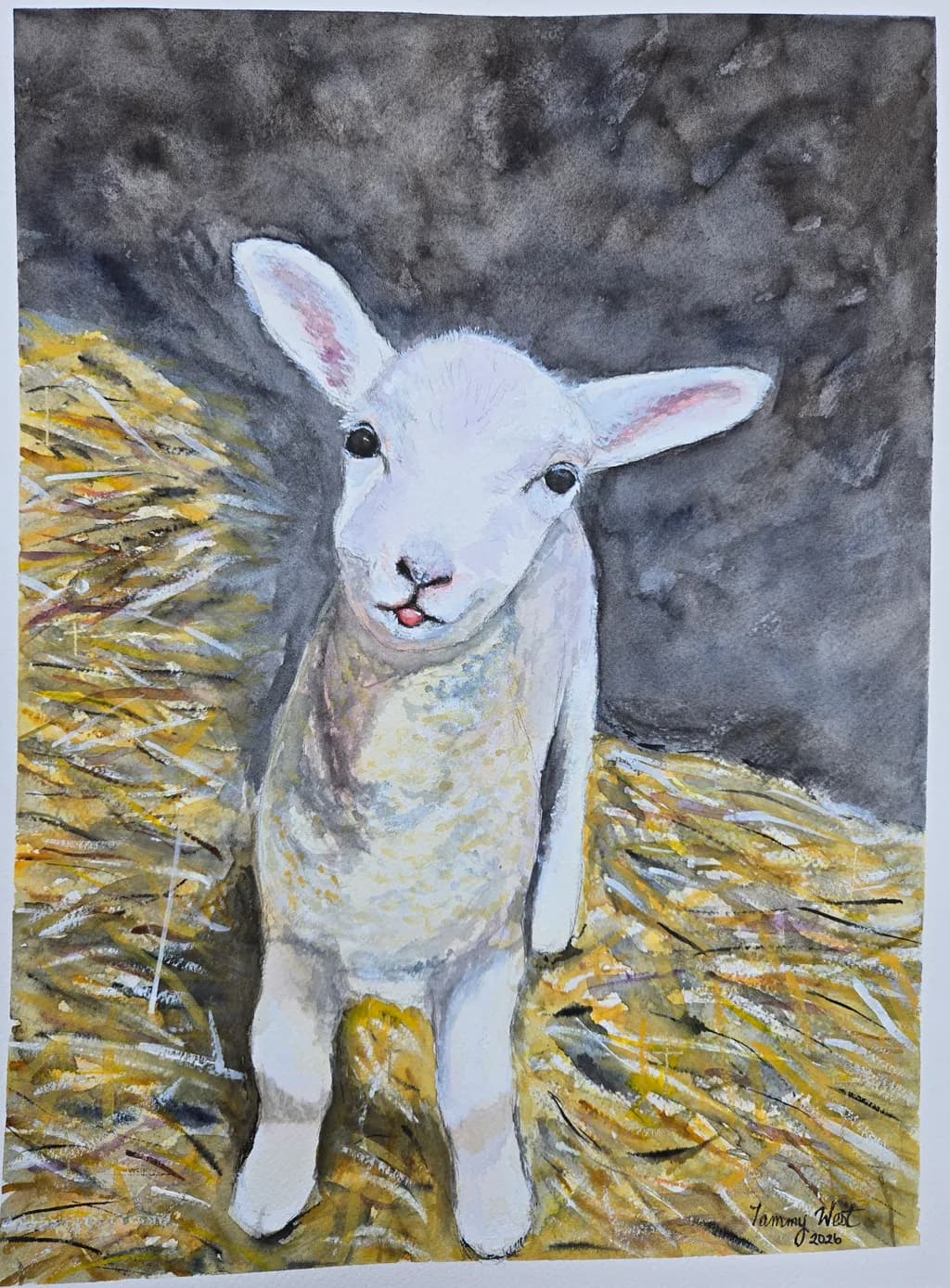Curious Lamb