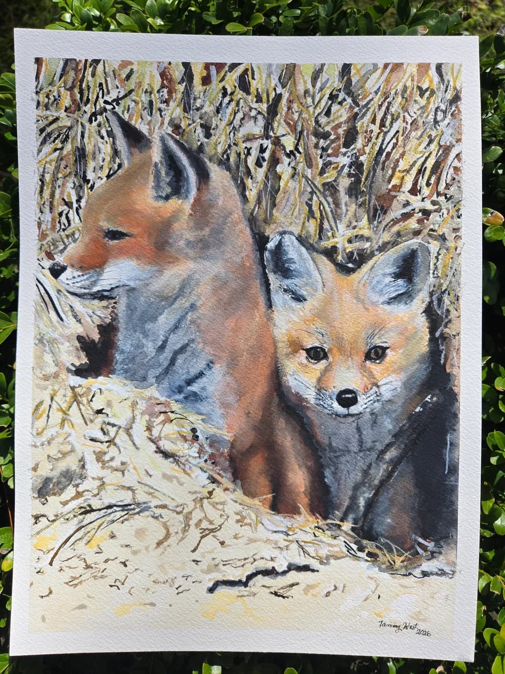 Twin Foxes