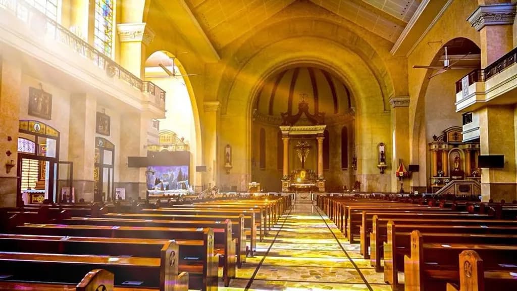 Sunlit Sanctuary