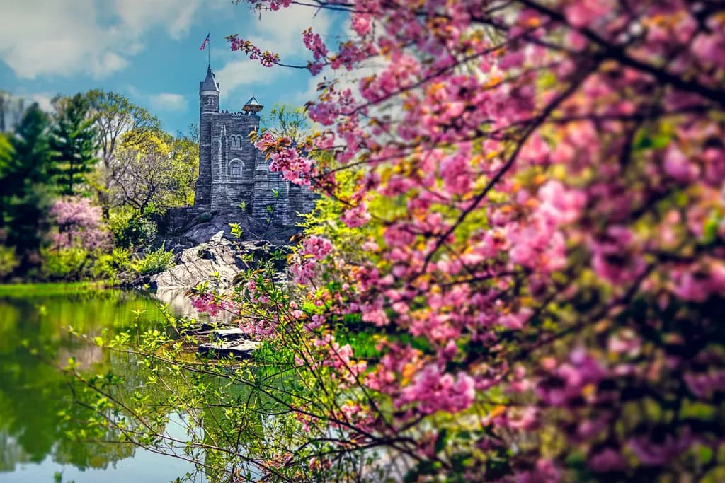 Spring Castle Reflection