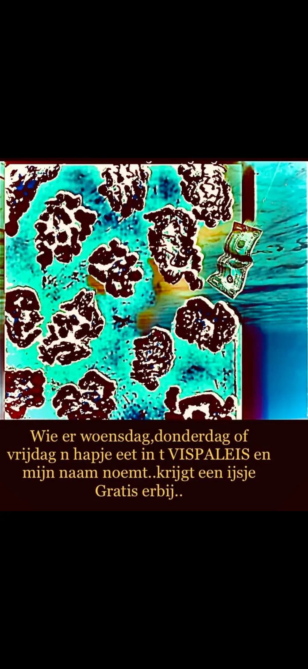 Vispaleis Treat Offer
