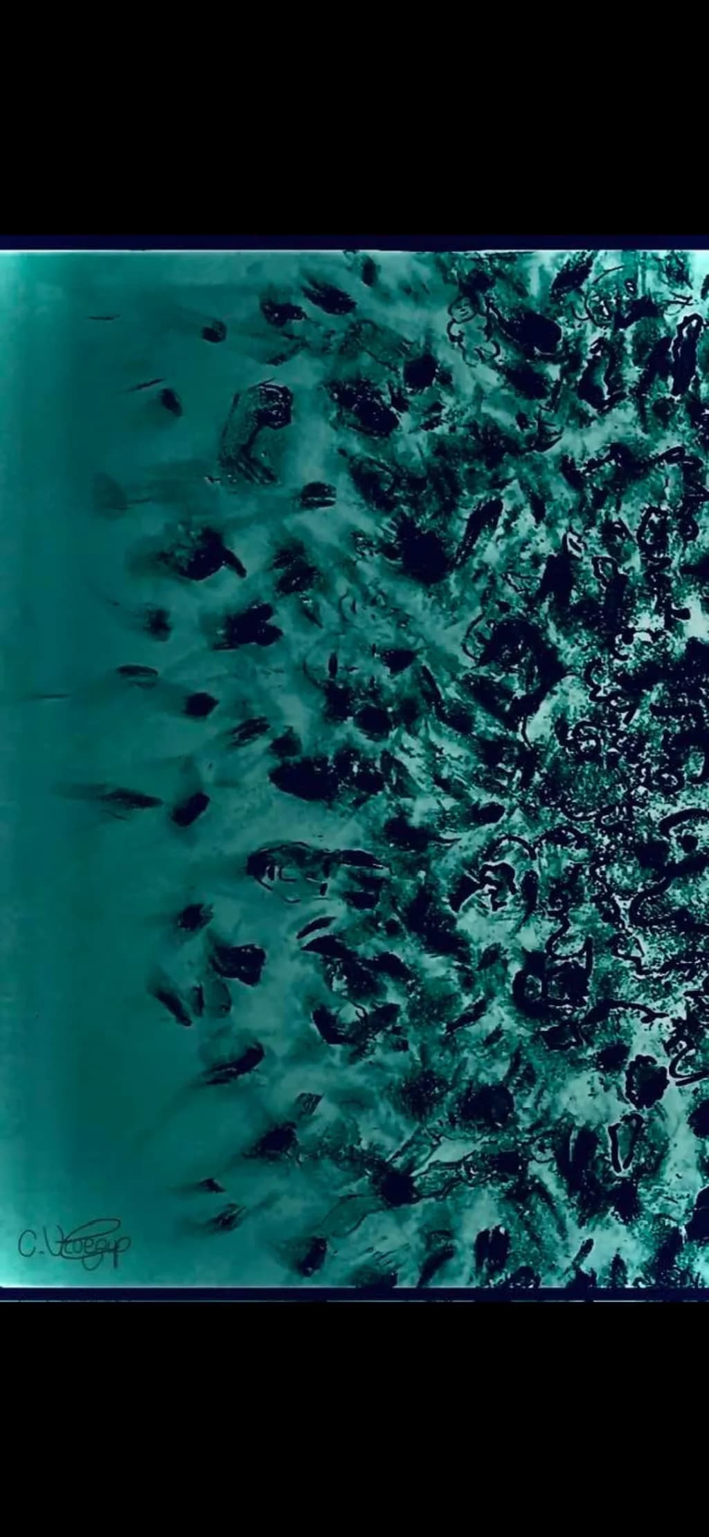 Blue Veil Pattern