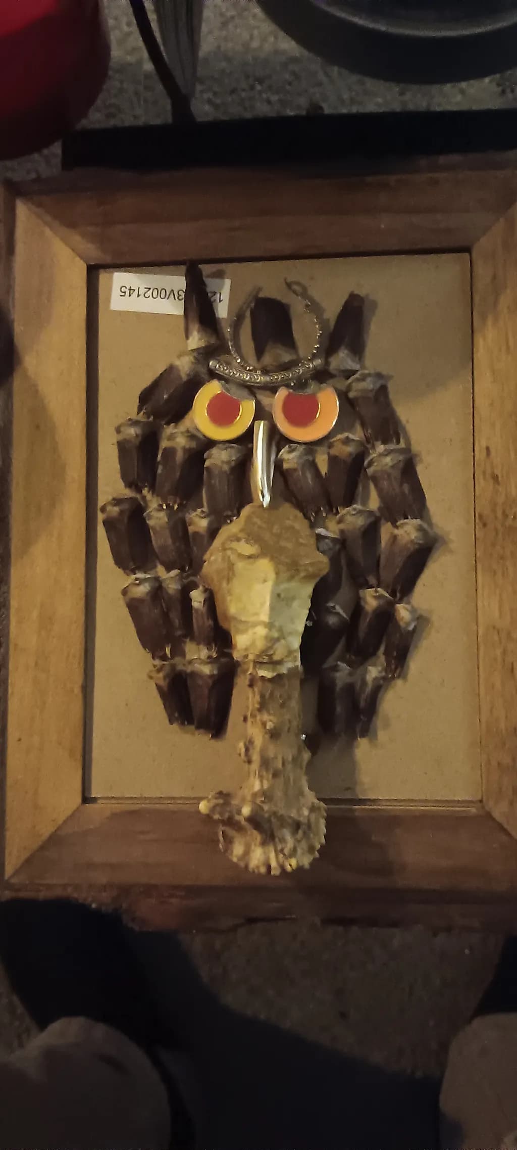 Bone and Seed Owl