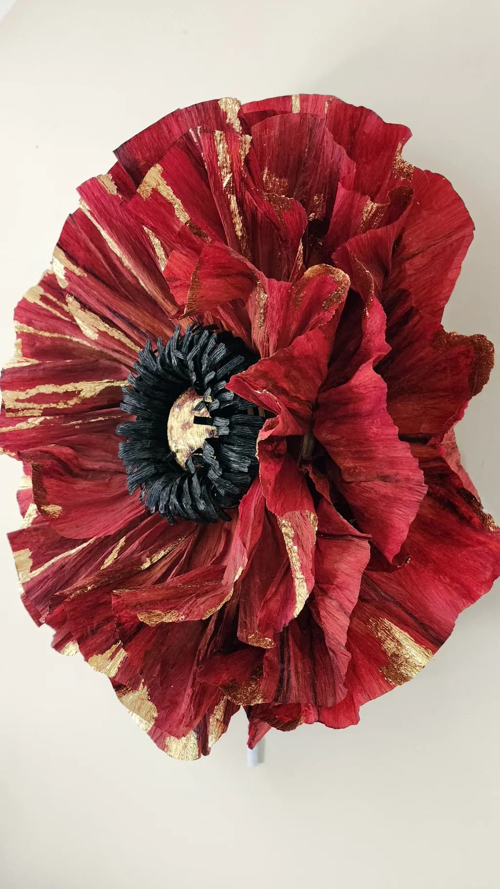 Crimson Gold Poppy
