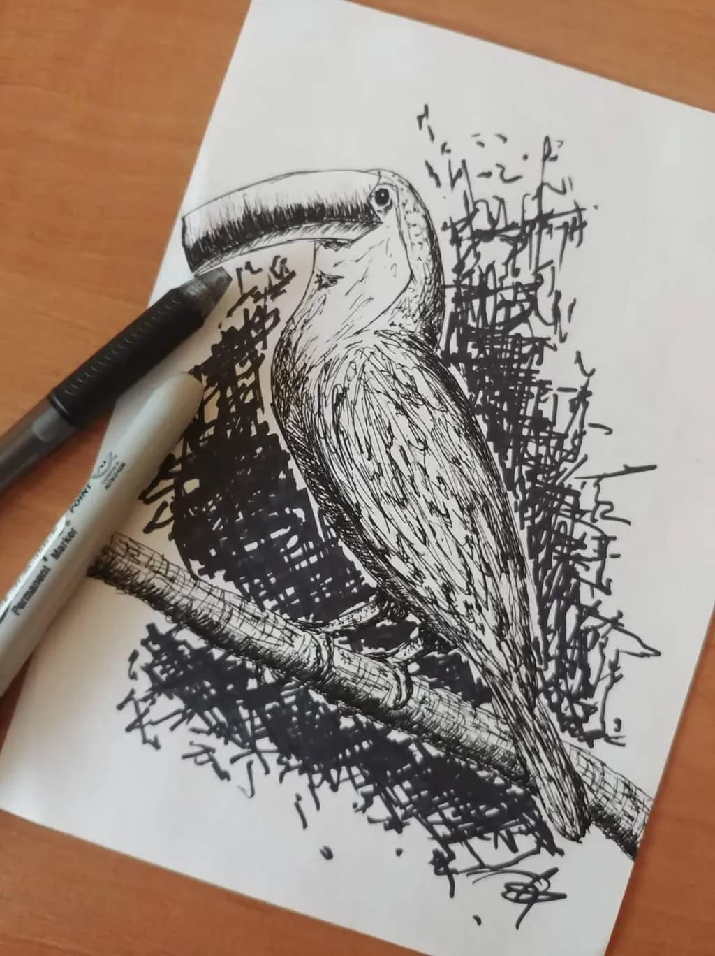 Tropical Beak