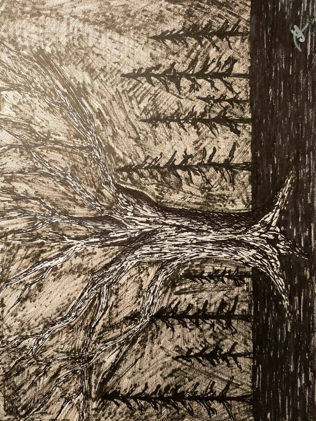 Winter Bark