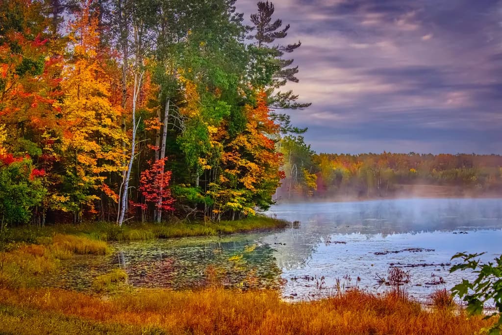 Autumn Reflection