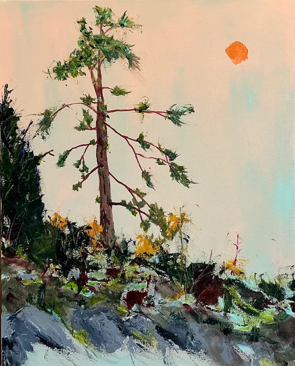 Sunlit Pine Tree